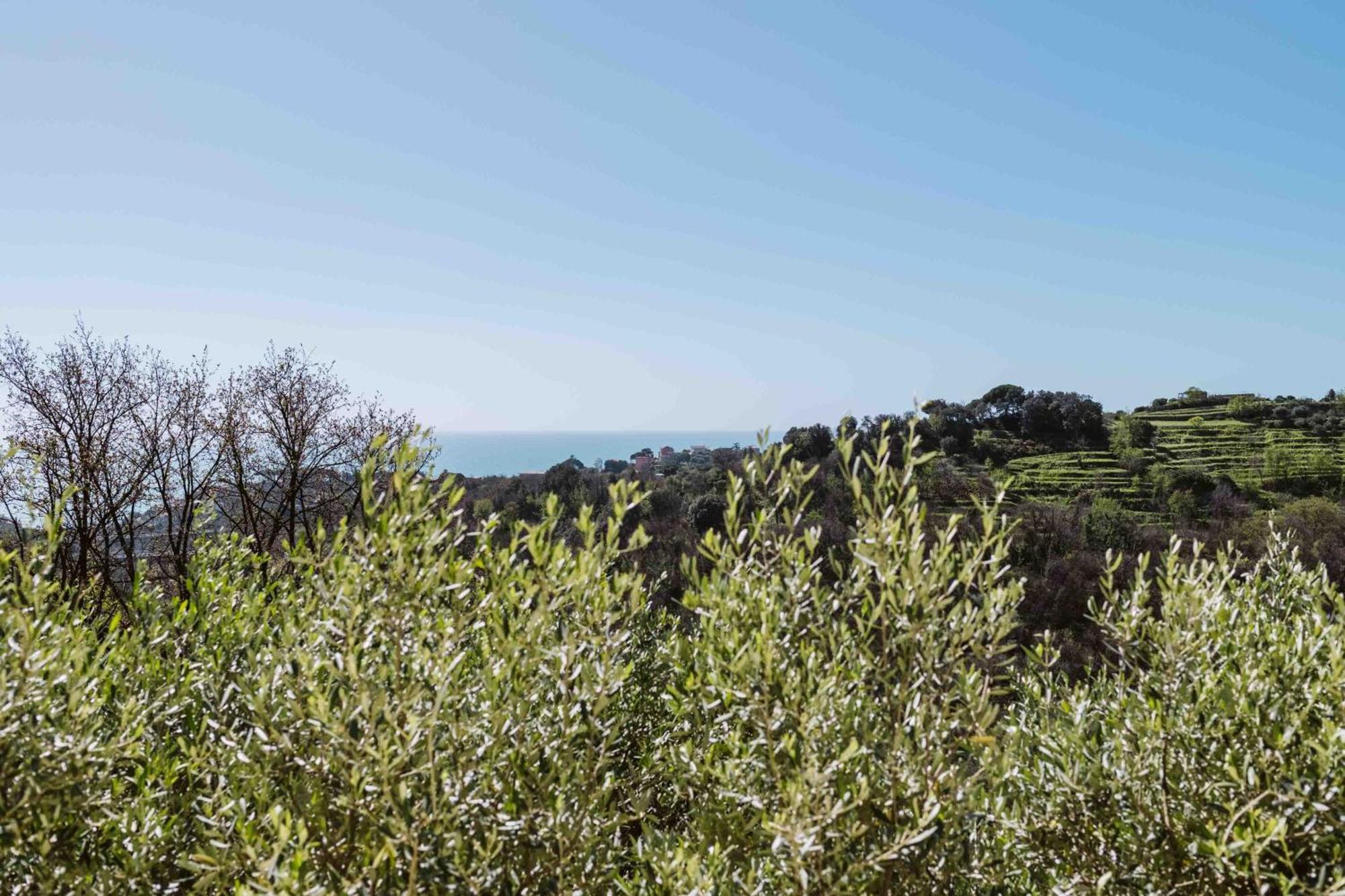 Abc Affittacamere Celle Ligure Exteriér fotografie